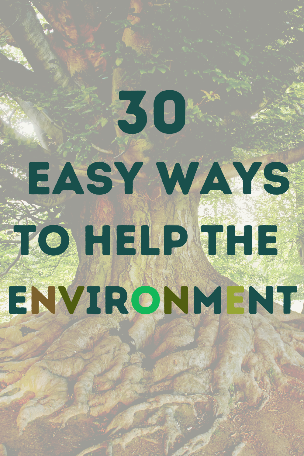 30-easy-things-you-can-do-to-help-the-environment-a-monthly-challenge