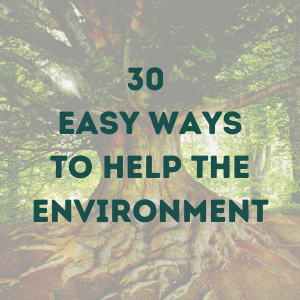 30 Easy Things You Can Do To Help the Environment – A Monthly Challenge